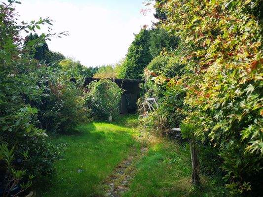 Garten 1.1.jpg