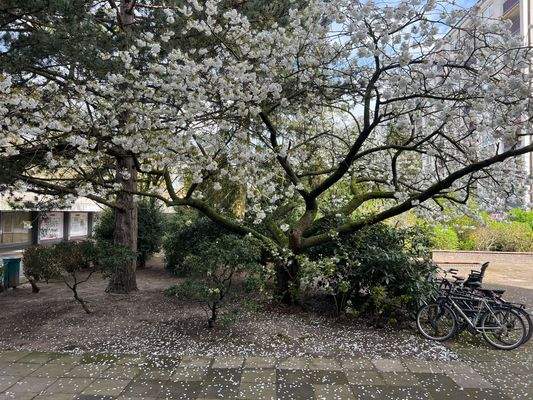 Fahrradständer vorm Haus