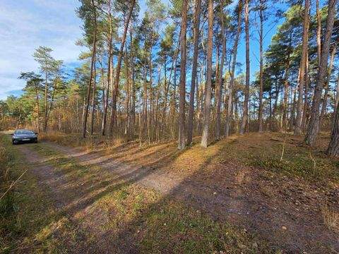 Dziwnów Grundstücke, Dziwnów Grundstück kaufen