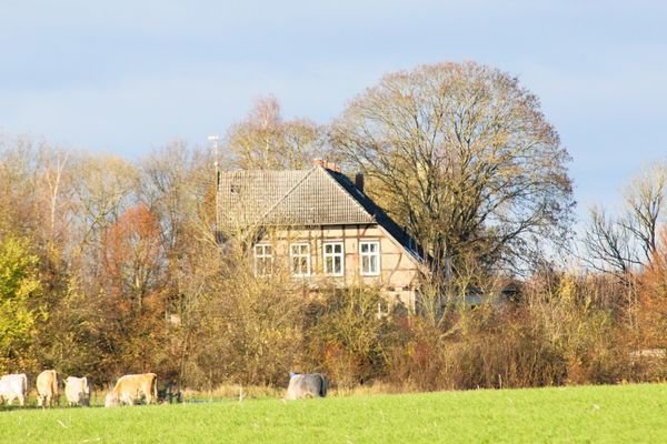 idyllisches Gutshaus mit Potenzial