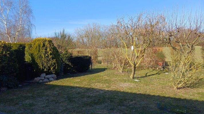 Garten mit Rasenfläche vor dem Haus