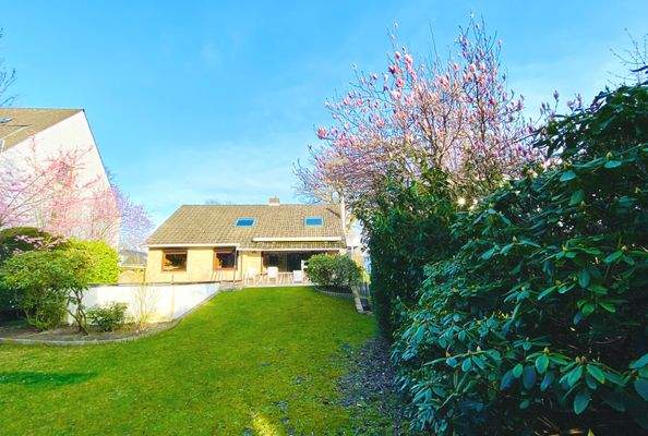 Sonniger Garten mit Pool