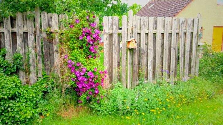 Bezaubender Garten....