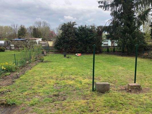 Garten mit Rasenfläche