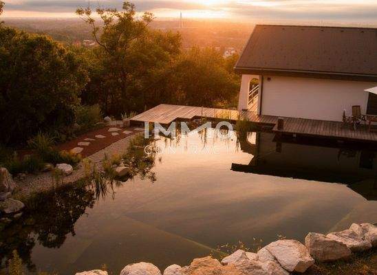 Schwimmteich mit Abendsonne