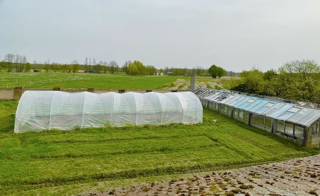 Folientunnel und Gewächshaus.jpg