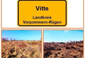 Gesamtansicht