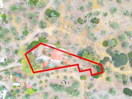 img_36102d58-de65-45c8-9b16-6420ba1aaaab