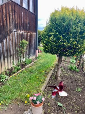 Garten vorne