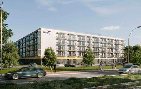 Rostock / Südstadt Wohnungen, Rostock / Südstadt Wohnung kaufen