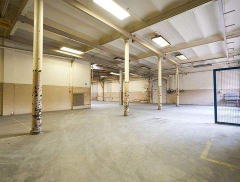 Mannheim Halle, Mannheim Hallenfläche