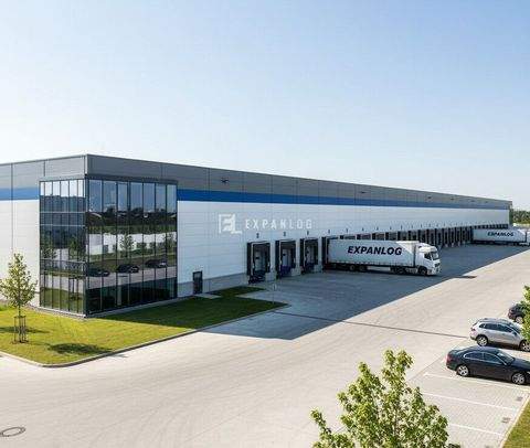 Oberhausen Halle, Oberhausen Hallenfläche