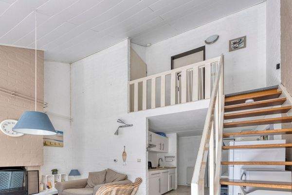 MolenwegDeKreekVijverlaan394311NZBruinisseNL-17.jp