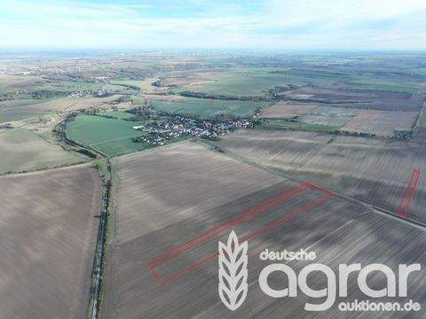 Könnern Bauernhöfe, Landwirtschaft, Könnern Forstwirtschaft