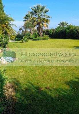 ae745d1930f644e7a17641a13f4de98f-original