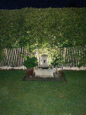 Beleuchtung Garten