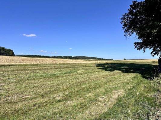 Blick in die Umgebung