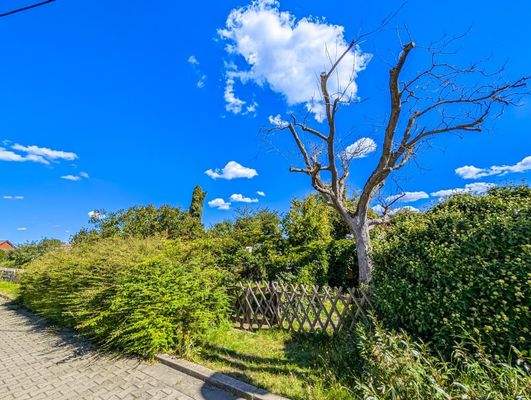 Garten gegenüber vom Haus