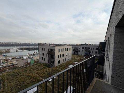 Mainz Wohnungen, Mainz Wohnung mieten