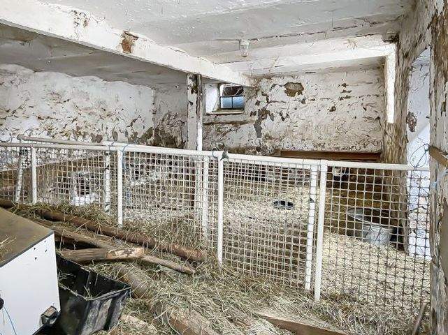 Schönes und gepflegtes Einfamilienhaus mit Scheune und Stall , Platz