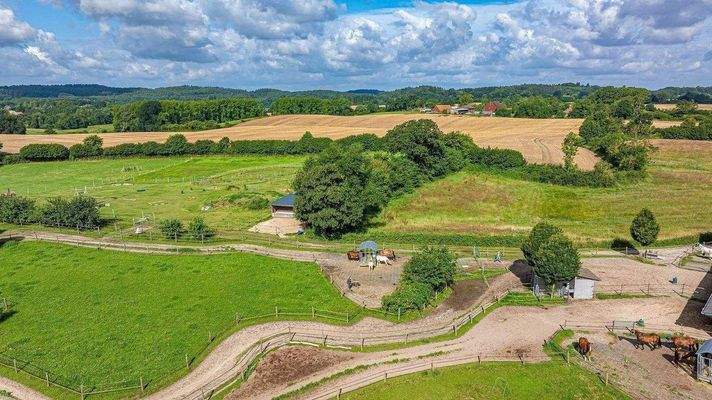 Bewegungs- Fütterungs- und Trainingskonzept