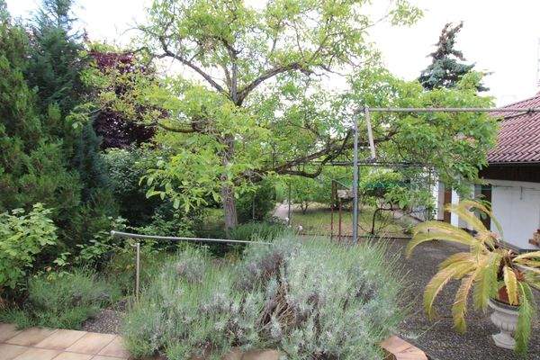 Blick von der Terrasse