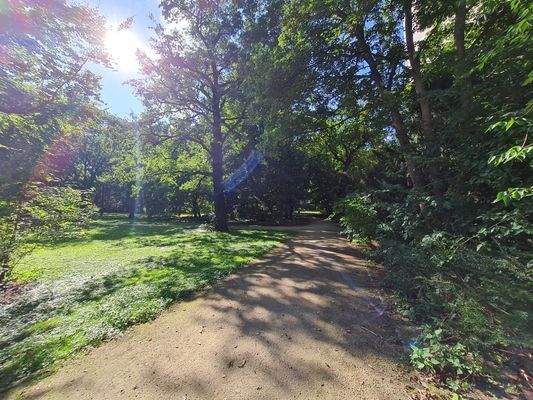 Laufen im Tiergarten.jpg