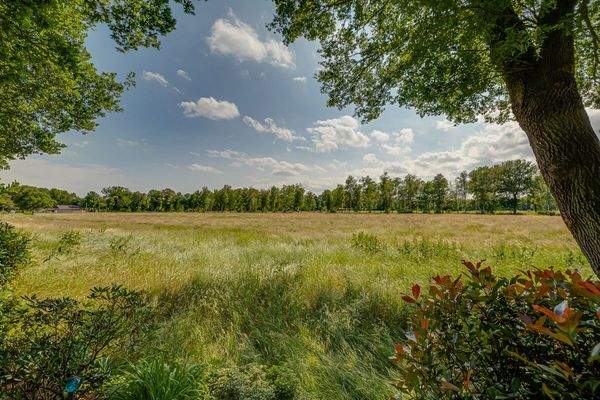 Ausblick (mögliches Pachtland)