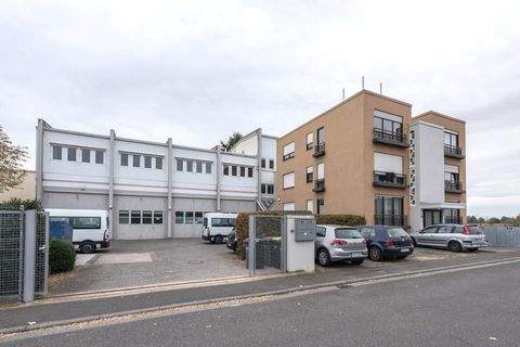 Hochheim Häuser, Hochheim Haus kaufen