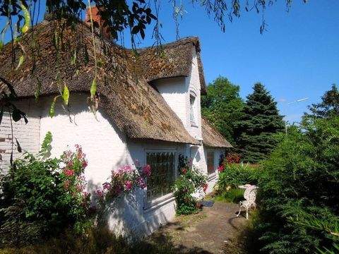 Niebüll Häuser, Niebüll Haus kaufen