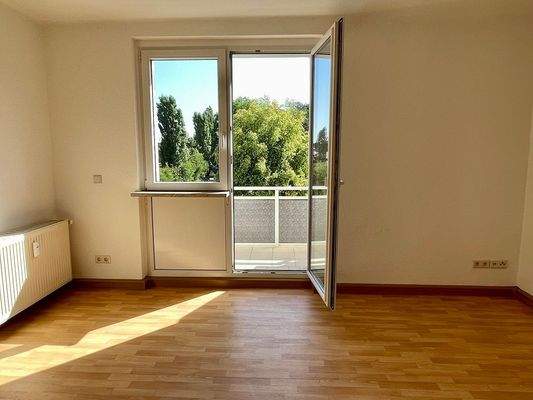 Beispielbild Balkonzugang