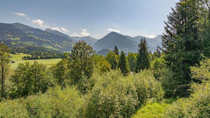 KITZIMMO-Grundstück für Einheimische in sonniger Ruhelage kaufen - Immobilien Kitzbühel.