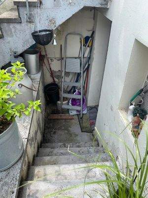 Treppe zum Keller.jpg