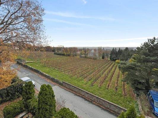 Blick über die Weinberge