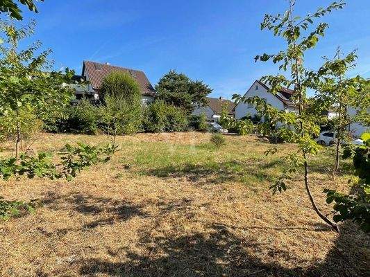 Diagonalansicht von links hinten