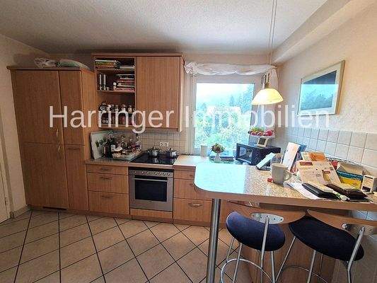 Die zeitgemäße Küche