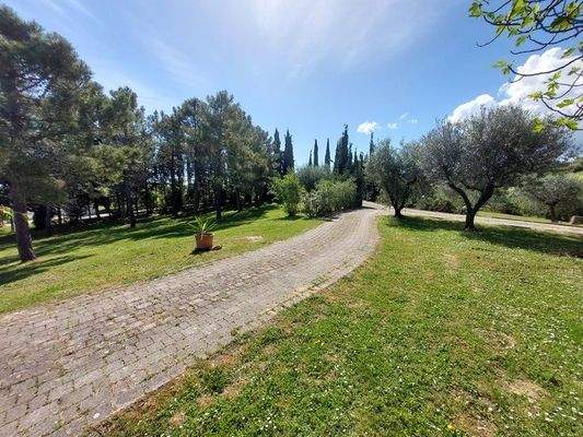 20240417_110530 (Kopie).jpg