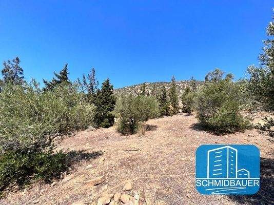 Kreta, Agia Galini: Grundstück in wunderschöner Lage zu verkaufen