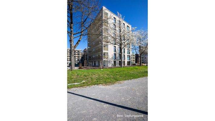 Baufortschritt Haus 7: Blick von Südwest