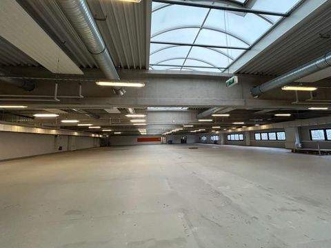 Braunschweig Halle, Braunschweig Hallenfläche