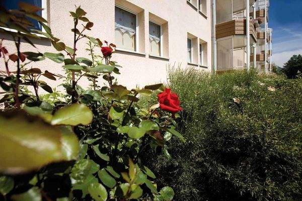 Detailansicht Grünanlage