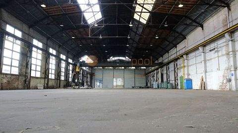 Hannover Halle, Hannover Hallenfläche