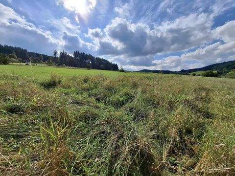 Langenschiltach Grundstücke, Langenschiltach Grundstück kaufen