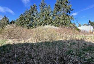 Bild vom Grundstück