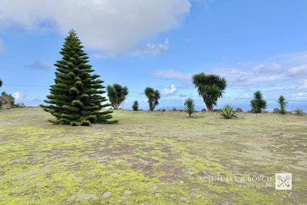 Eine riesiger Garten