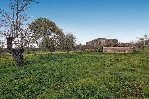 Rustikales Land zum Verkauf nahe Maria de la Salut auf Mallorca