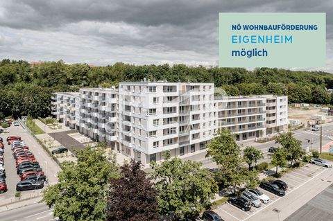 St.Pölten Wohnungen, St.Pölten Wohnung kaufen