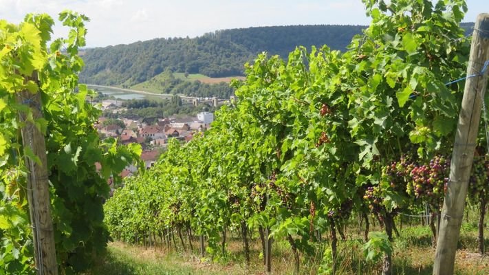 Umgebung / Landschaft 2