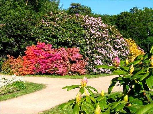 RHODOENDRONPARK GENIEßEN