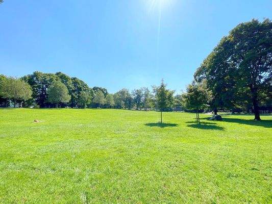 Der Weißenseepark vor der Haustüre